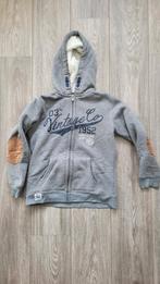 Grijze warme teddy trui maat 146/152, Ophalen, Gebruikt, Jongen, Trui of Vest