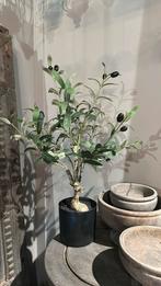 Bonsai zijde olijfboompje, Ophalen of Verzenden