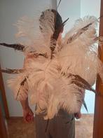 Veren voor carnaval, Ophalen of Verzenden, Gedragen, Carnaval, Accessoires