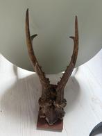Herten Gewei - Authentieke Woondecoratie, Ophalen of Verzenden, Gebruikt