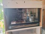 stelling en bakken, Dieren en Toebehoren, Ophalen, Zo goed als nieuw, Terrarium of Paludarium