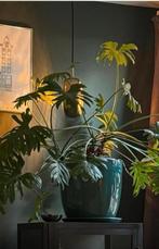 Gringo zuiver hanglamp, Ophalen of Verzenden, Nieuw, Metaal, 75 cm of meer