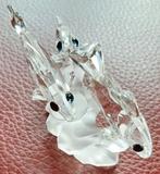 Swarovski tropische vissen, Verzamelen, Swarovski, Ophalen of Verzenden, Zo goed als nieuw