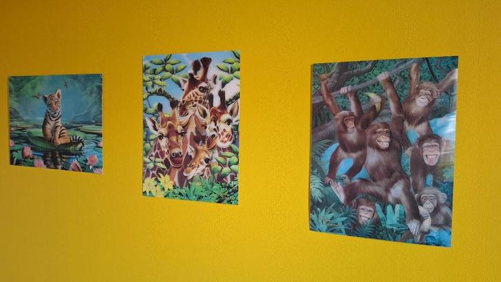 3D poster Tijger - Giraffen - Apen 30x40 cm, Verzamelen, Posters, Zo goed als nieuw, Dier of Natuur, A1 t/m A3, Rechthoekig Staand