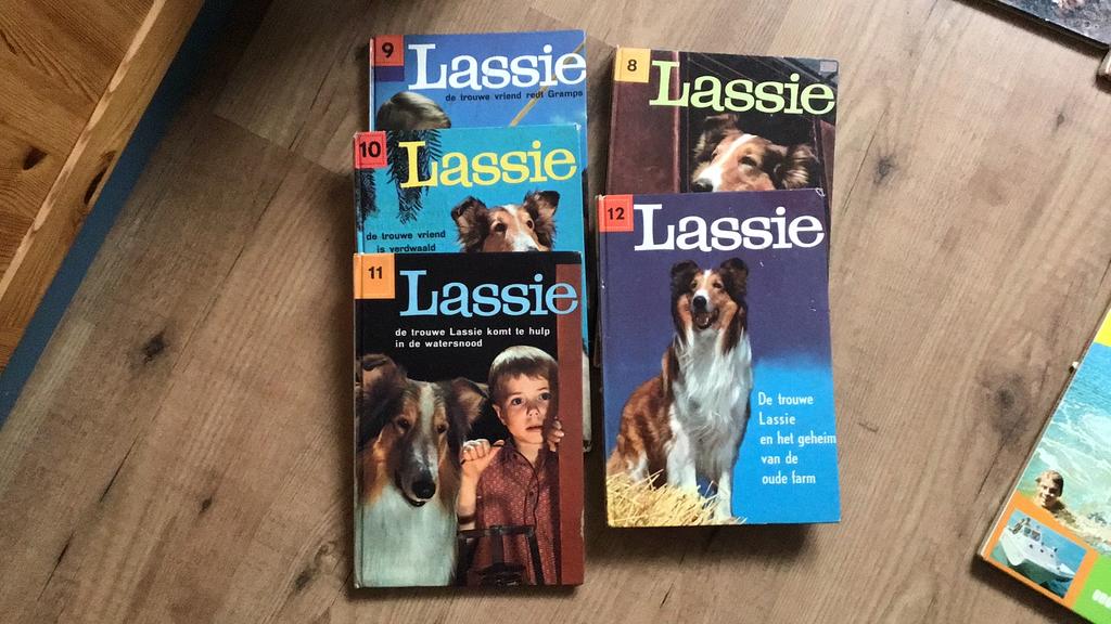 Lassie leesboeken, Boeken, Ophalen, Gelezen