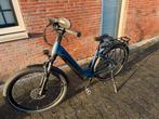 Pegasus Ravenna EVO (elektrische fiets), Ophalen, Zo goed als nieuw, 50 km per accu of meer, Overige merken