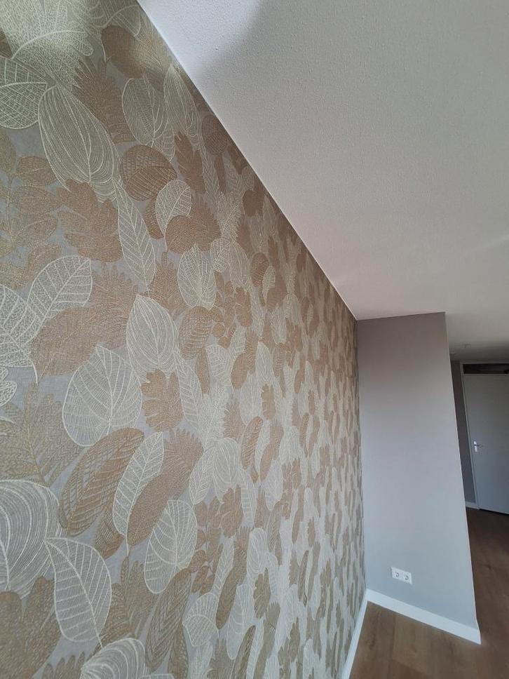 Behanger gezocht?, Diensten en Vakmensen, Schilders en Behangers, Behangen, Binnenschilderwerk, Buitenschilderwerk, Garantie, Kleuradvies