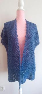 Gehaakt vest Blauw, Ophalen of Verzenden, Nieuw, Blauw