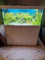 Aquarium aqualantis, Dieren en Toebehoren, Vissen | Aquariumvissen, Vis