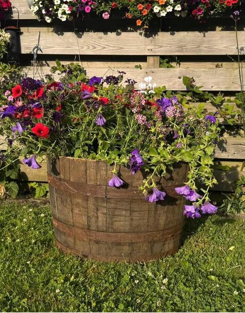 Plantenbakken van Whiskyvaten, verschillende hoogtes!, Tuin en Terras, Bloembakken en Plantenbakken, Nieuw, Hout, Binnen, 60 tot 100 cm