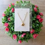 Goudkleurige rvs ketting. ' Dichte Schelp ', Ophalen of Verzenden, Zo goed als nieuw, Goud, Overige materialen