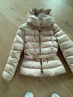 Elisabetta franci, Ophalen of Verzenden, Zo goed als nieuw, Maat 36 (S), Jack