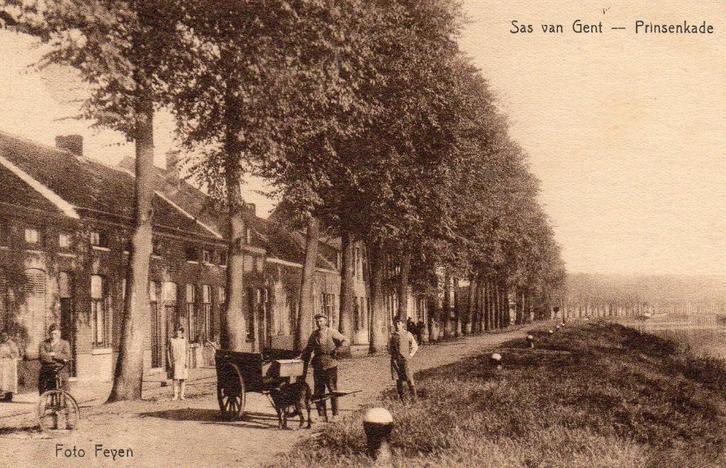 Sas van Gent - Prinsenkade - Hondenkar - straatleven, Verzamelen, Ansichtkaarten | Nederland, Ongelopen, Zeeland, Voor 1920, Ophalen of Verzenden