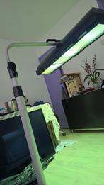 Zonnebank enkelzijdig - Philips Home Solaria, Ophalen, Gebruikt, Zonnebank enkelzijdig, 10 tot 15 lampen