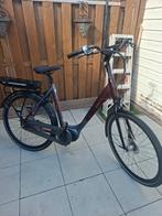 Van Dijck E-Bike Dames 57cm - Krachtige Accu!, Ophalen of Verzenden