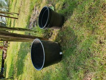 Potten  beschikbaar voor biedingen