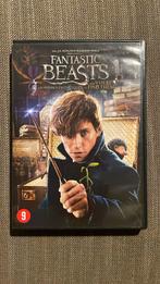 Fantastic Beasts and where to find them - dvd, Vanaf 9 jaar, Ophalen of Verzenden, Zo goed als nieuw