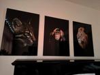 Dieren Foto's Set, Ophalen, Zo goed als nieuw, Foto of Poster, 50 tot 75 cm