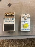 Boss Tera Echo TE-2 & Mad Professor Spring Reverb, Ophalen of Verzenden, Zo goed als nieuw, Delay of Echo