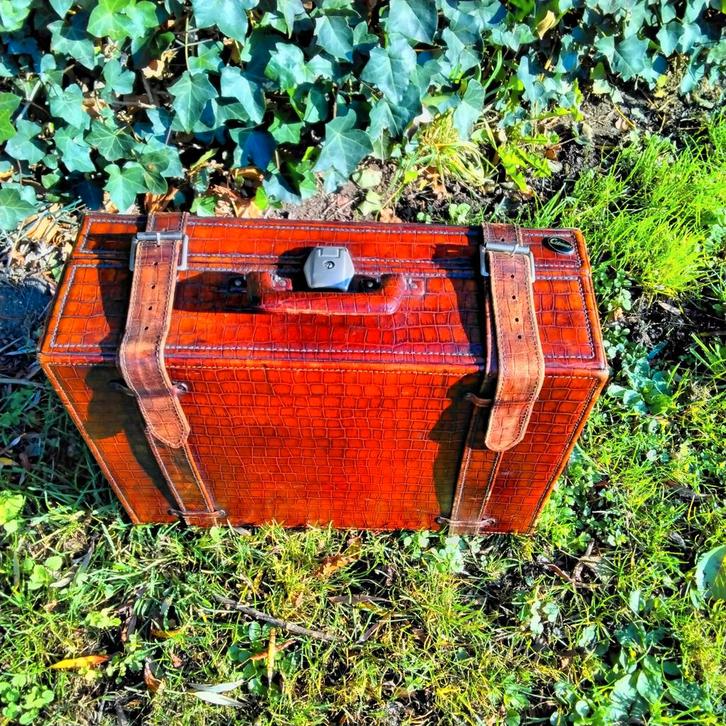 Vintage leren krokodil auto koffer, Verzamelen, Overige Verzamelen, Zo goed als nieuw, Ophalen of Verzenden