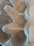 Eieren doosjes, Geslacht onbekend, Kip