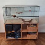 Gerbilhok met onderkast, Dieren en Toebehoren, Gebruikt, Hok, 75 tot 110 cm, Ophalen