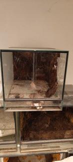 Terrarium / paludarium, Dieren en Toebehoren, Reptielen en Amfibieën | Toebehoren, Ophalen, Gebruikt, Terrarium of Paludarium