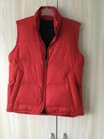 Tenson rode bdywarmer 38, Nieuw. Gewatteerd.€20., Kleding | Dames, Bodywarmers, Ophalen of Verzenden, Zo goed als nieuw, Maat 38/40 (M)