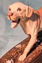 labrador porselein van beswick, Antiek en Kunst, Ophalen of Verzenden