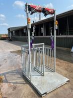 inseminatiebox geiten, Vrouwelijk, Geit