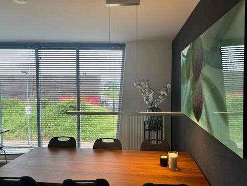 verlichting, Huis en Inrichting, Lampen | Hanglampen, Zo goed als nieuw, Minder dan 50 cm, Kunststof, Metaal, Ophalen