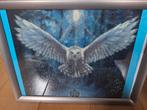 Harry Potter diamond painting, Ophalen of Verzenden, Zo goed als nieuw, Boek of Poster