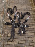 6 punts gordels LTEC, Ophalen of Verzenden, Gebruikt