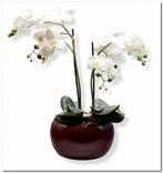 Kunst orchidee met Cresta donkerrood pot, Binnen, Zo goed als nieuw, Ophalen