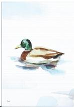 Nederlandse Weidevogels. Eend-Fuut-en en zwaan. , Verzenden, 1980 tot heden, Ongelopen, Vogel
