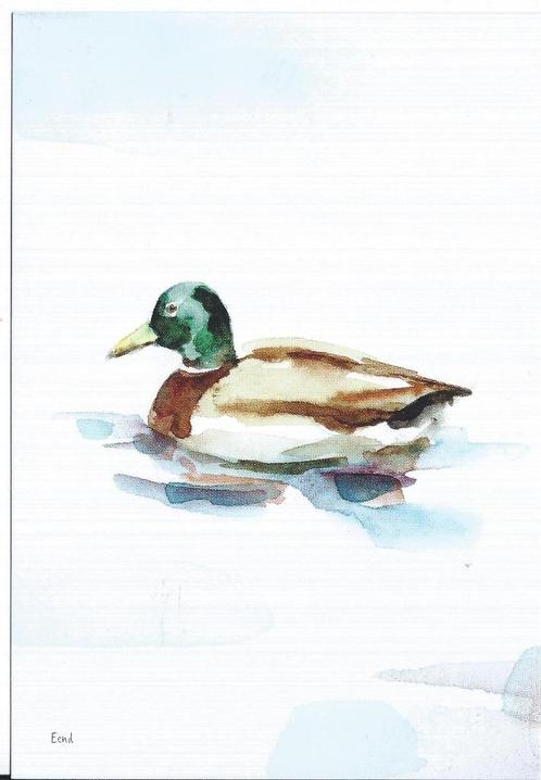 Nederlandse Weidevogels. Eend-Fuut-en en zwaan. , Verzamelen, Ansichtkaarten | Dieren, Ongelopen, 1980 tot heden, Vogel, Verzenden