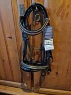 Hoofdstel maat mini, Dieren en Toebehoren, Ophalen of Verzenden, Nieuw, Dressuur
