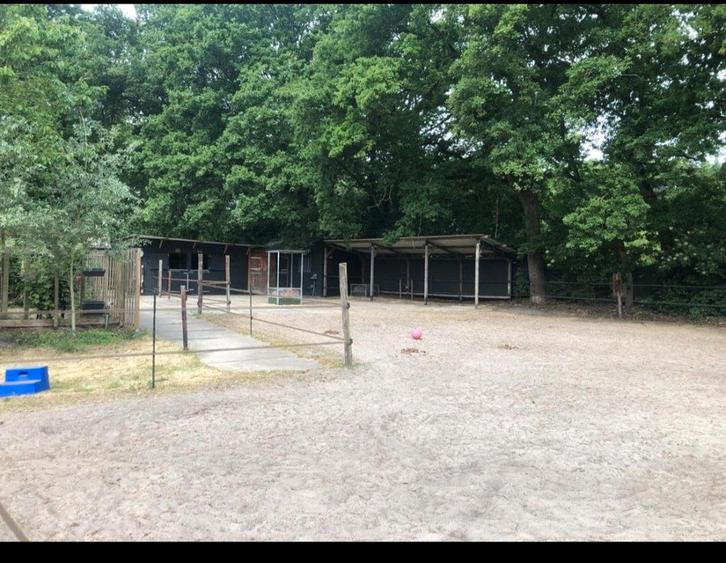 Gezellige doe-het-samen stal met plek voor 1 paard/pony!, Dieren en Toebehoren, Stalling en Weidegang