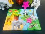 Duplo-set Babydieren nr. 10904, Ophalen, Zo goed als nieuw, Duplo
