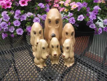 6 delig SylvaC set * hond # dog # chien # perro # sad eyes * beschikbaar voor biedingen