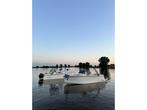 Dante V800/ sloep/ tender/ console boot/ speedboot, Nieuw, Polyester, 6 meter of meer, Minder dan 70 pk