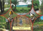 Reuver - Lommerbergen -- Gelopen Ansichtkaart A1007, Verzamelen, Ophalen of Verzenden