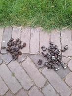 Stiften voor onder hoefijzers paarden, Ophalen of Verzenden, Gebruikt, Overige soorten