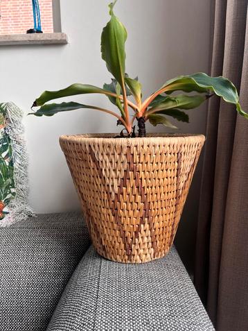 Gevlochten bohemian boho Bloempot mand circa 24cm hoog beschikbaar voor biedingen