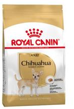 Gratis chihuahua adult brokken, Dieren en Toebehoren, Dierenvoeding, Ophalen, Hond