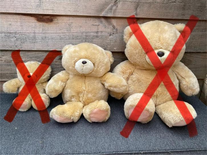 Forever Friends Beer / Hallmark / nog 1 beschikbaar, Verzamelen, Beren en Cherished Teddies, Nieuw, Stoffen beer, Forever Friends