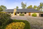 Vakantie- en/of trainingsplekken beschikbaar (Overijssel), Dieren en Toebehoren, Stalling en Weidegang, Weidegang, 2 of 3 paarden of pony's