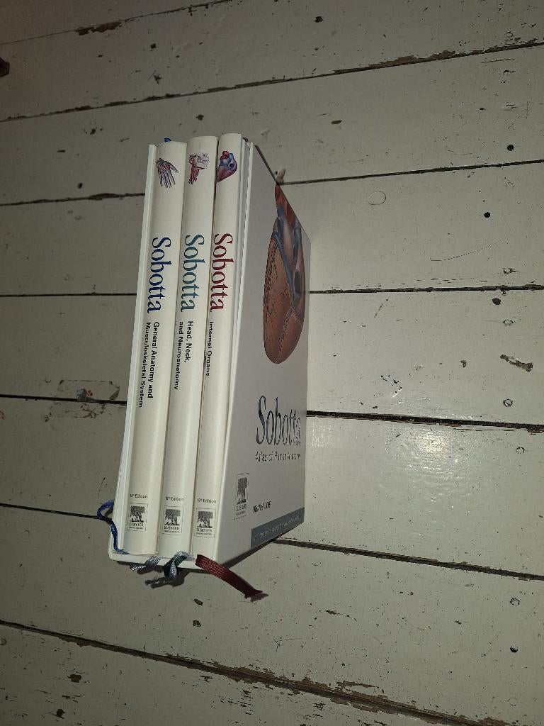 Sobotta Atlas of Human Anatomy 4 delige set, Ophalen of Verzenden, Beta, Elsevier, WO