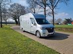Renault Master Theault paardenwagen hengsten uitvoering, Dieren en Toebehoren, Paarden en Pony's | Trailers en Aanhangwagens, Gebruikt