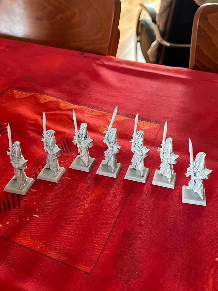 Warhammer age of Sigmar- Island of blood, Hobby en Vrije tijd, Wargaming, Zo goed als nieuw, Warhammer, Figuurtje(s), Ophalen of Verzenden